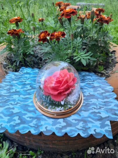 Роза в куполе