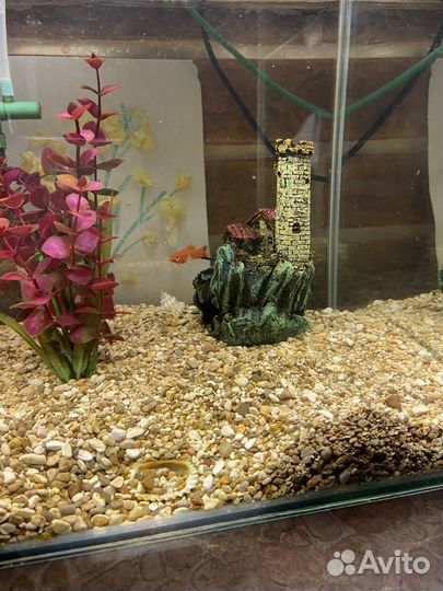 Аквариум