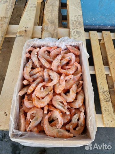 Креветки королевские 50/70зам