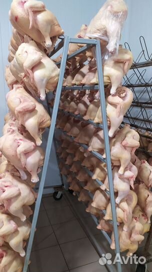 Куры бройлеры тушки мясо