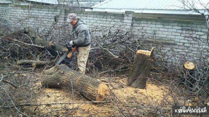 Опиловка деревьев