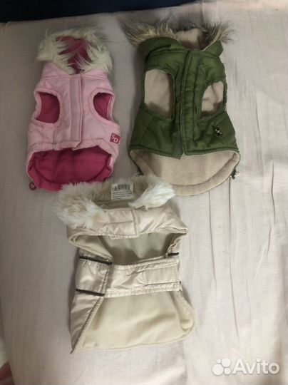 Одежда для маленькой собачки