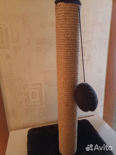 Когтеточка для кошек