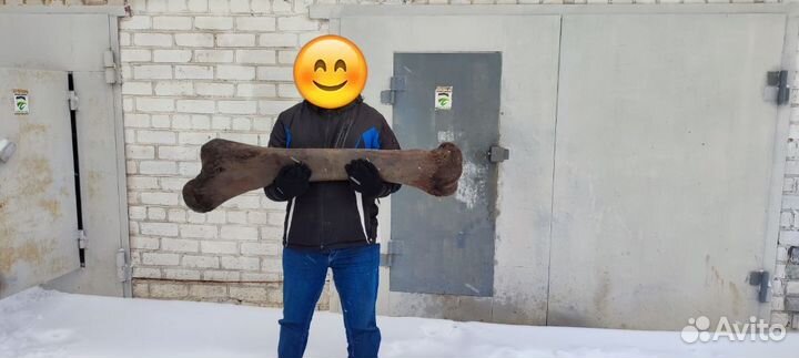 Кость мамонта