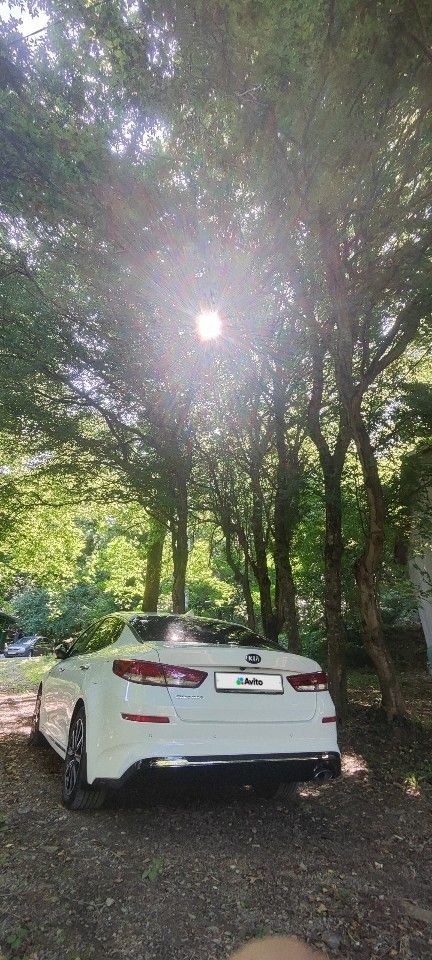Kia Optima: фото владельца
