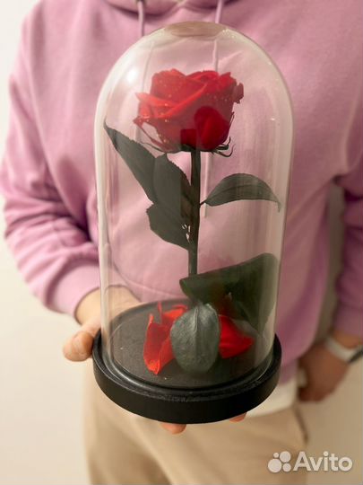 Роза в колбе