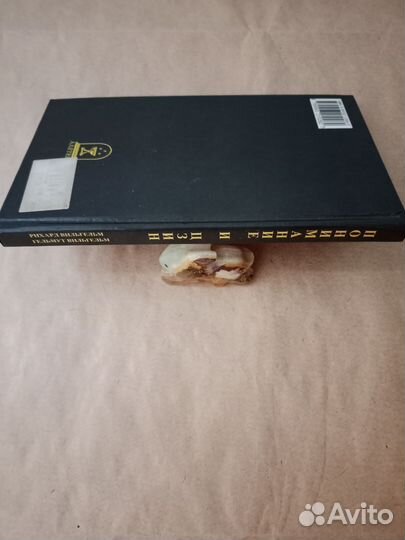 Р. Вильгельм Понимание 