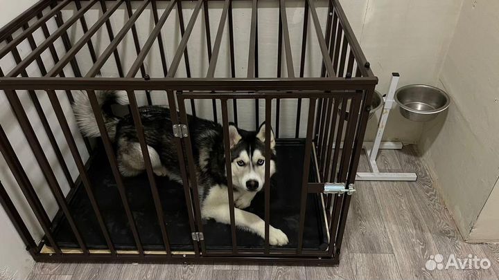 Клетка для собаки