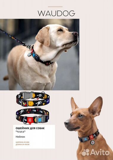 Ошейник для собак нейлоновый waudog с QR паспортом