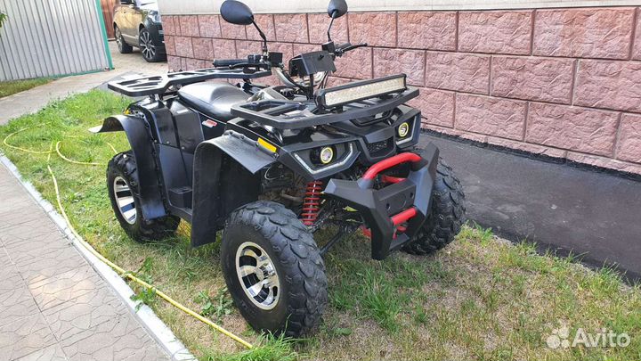 Avantis Hanter 200 new lux