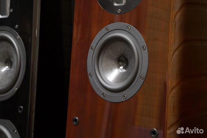 AC Aurum Cantus Melody M-102 SE