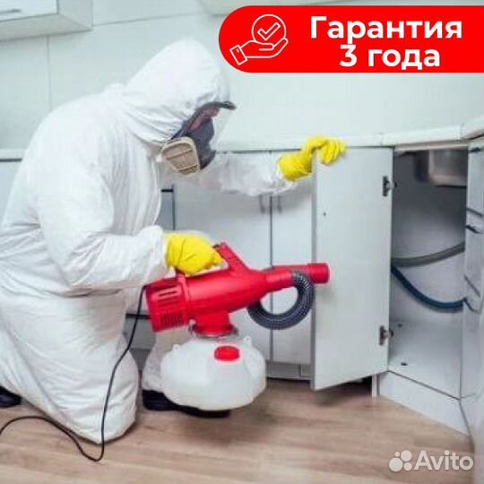 Дезинфекция
