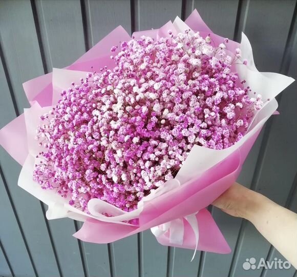 Ажурные гипсофилы