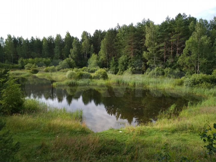 Участок 12,3 сот. (ИЖС)