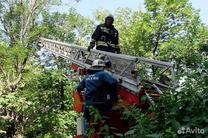 Удаление и опиловка деревьев