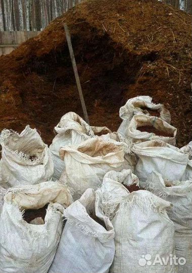 Навоз перегной