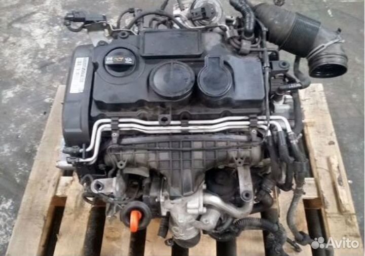 Двигатель Audi A3 VW Golf 5 2.0 TDI