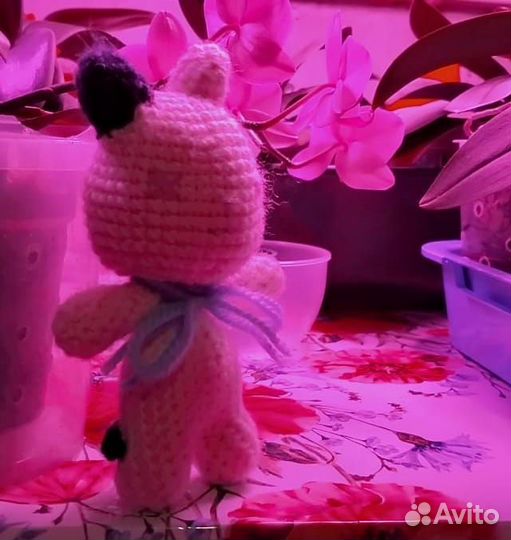 Вязаный котёнок