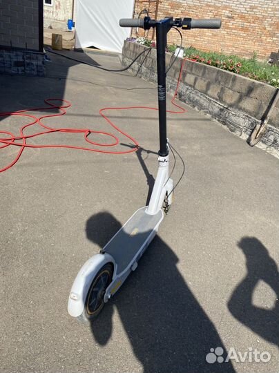 Самокат ninebot g30lp