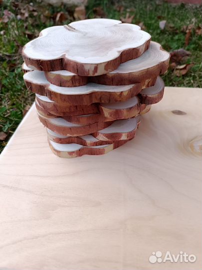 Набор спилов можжевельника для декора и творчества