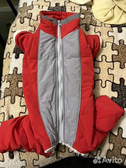 Зимний комбинезон для маленьких собак