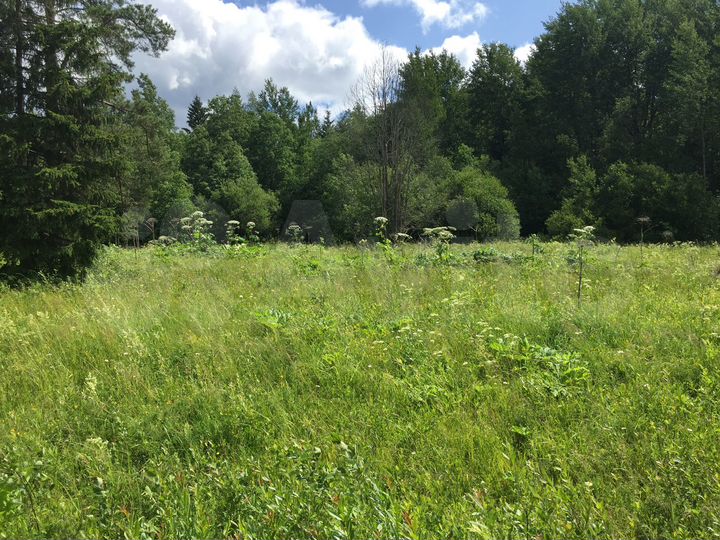 Участок 60 сот. (ИЖС)