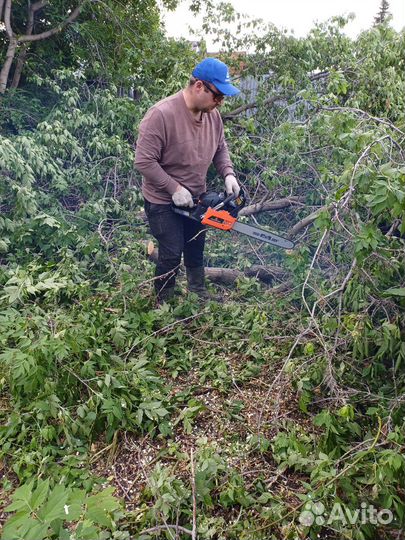 Покос травы триммером