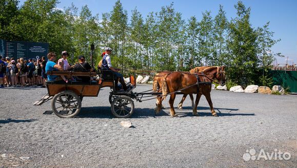 2.сен.23 Рускеала и Каменная Карелия /ка3039