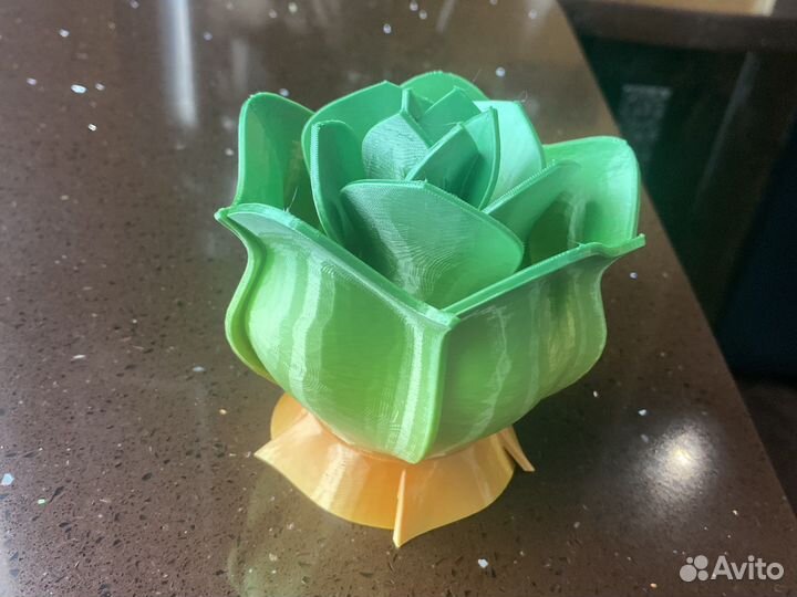 Цветы розы 3 D модели
