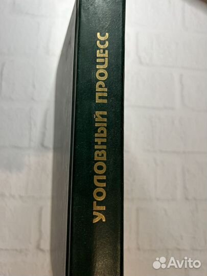 Уголовный процесс К.Ф.Гуценко