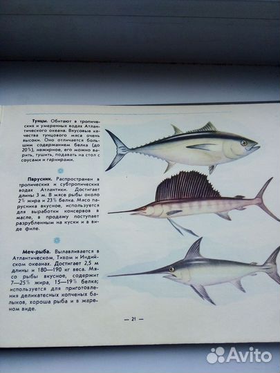 Дары атлантики