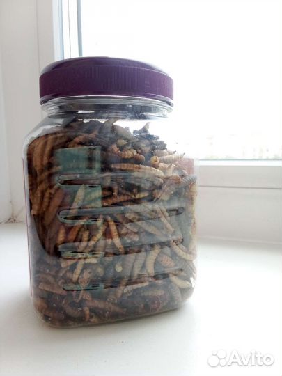 Товары для грызунов