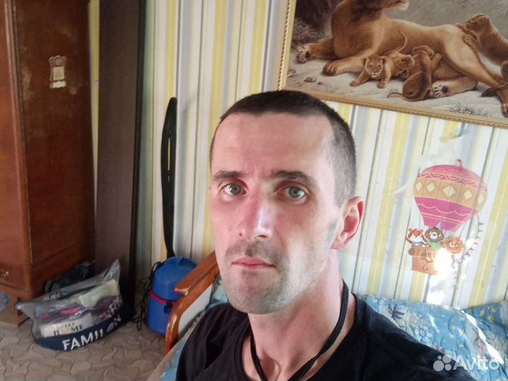 Любая работа, подработка