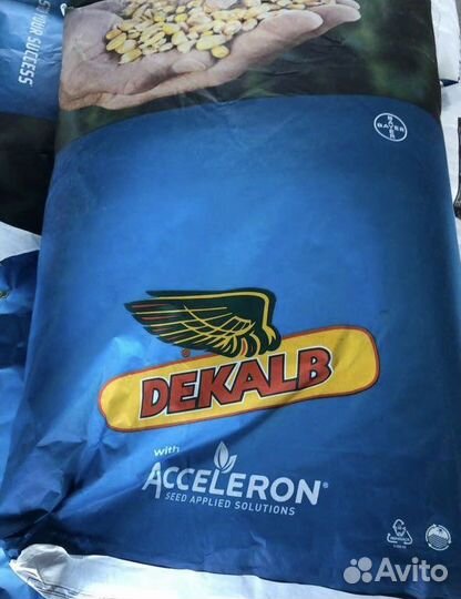 Оригинальные семена кукурузы Bayer дкс Монсанто