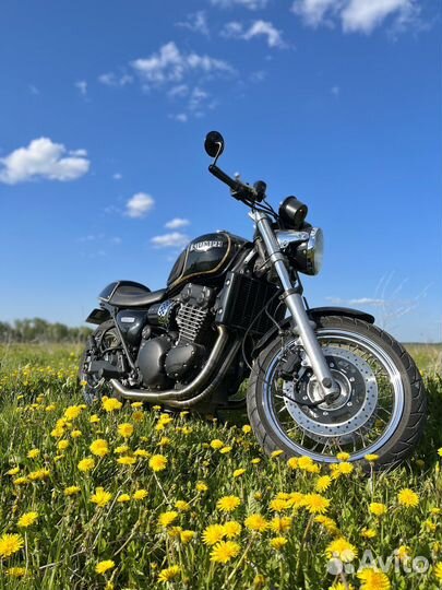 Triumph thunderbird 900 sport