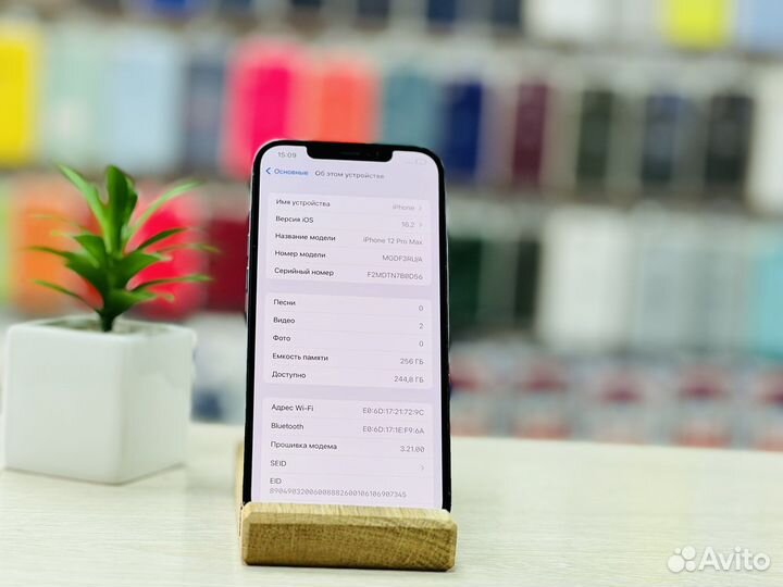 iPhone 12 Pro Max 256Gb Pacific Blue Рассрочка