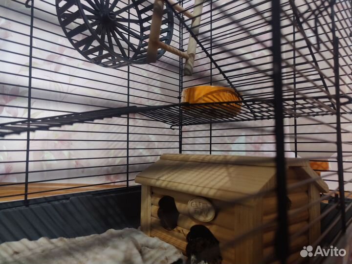 Клетка для грызунов