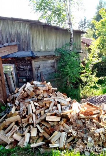 Дрова Береза от производителя