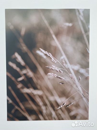 Фотографии природы