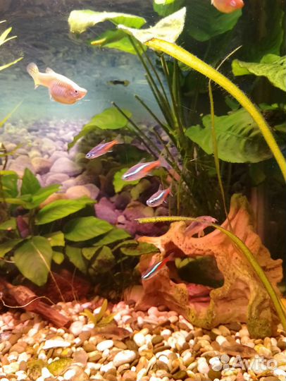 Фильтр для воды