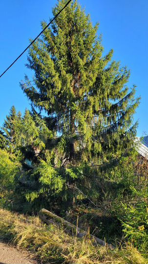 Дача 90 м² на участке 6 сот.