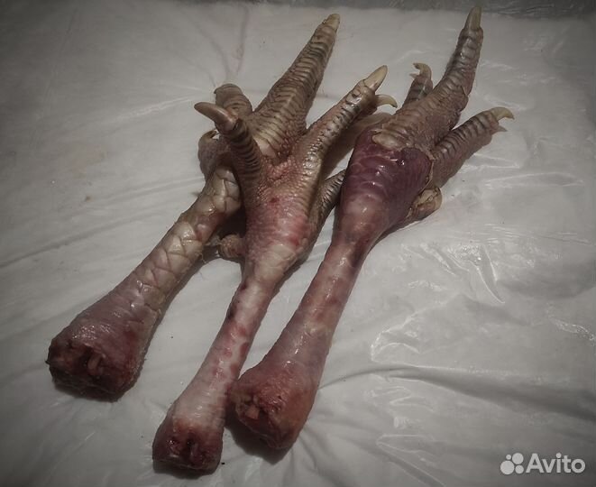 Мясо для животных