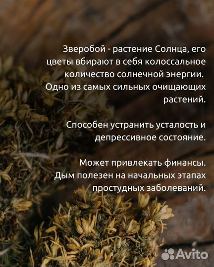 Полынь. Лаванда. Зверобой. Шалфей. Травы