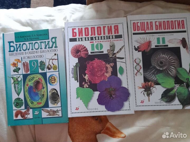 Учебники для школы