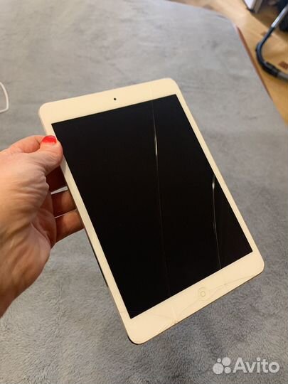 iPad mini 1