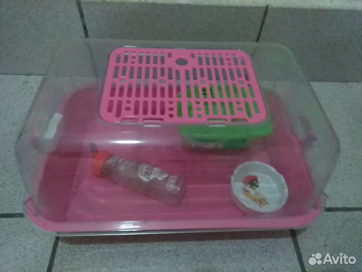 Клетки большие и малые