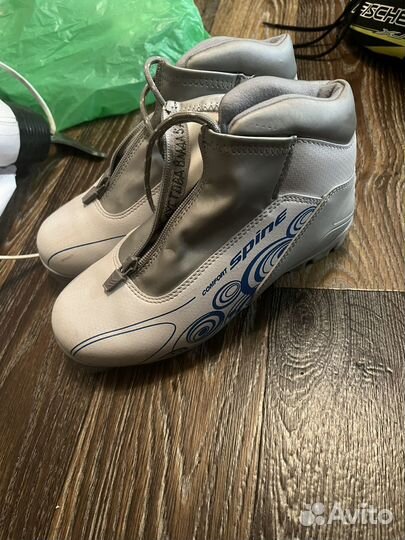 Лыжные ботинки spine