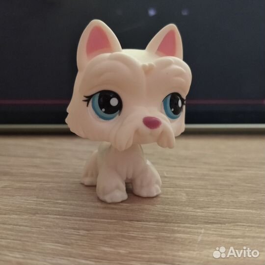 Littlest Pet Shop