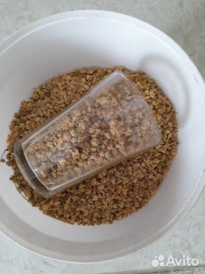 Семена полусахарной кормовой свеклы