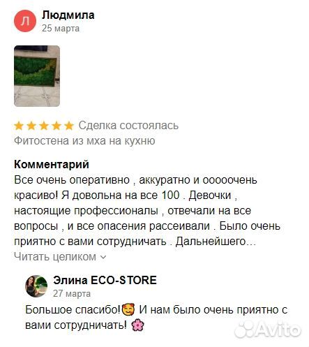 Логотип из стабилизированного мха для магазина